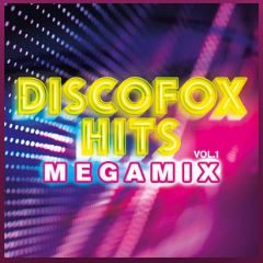 Cover: Discofox Hits Megamix Vol. 1